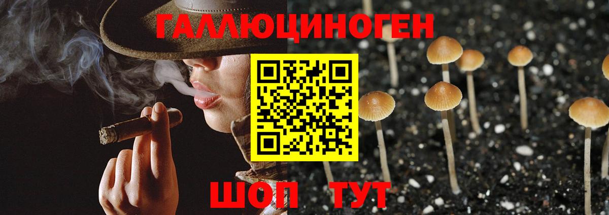 Ижевск  Псилоцибиновые грибы прущие грибы  Галлюциногенные грибы Cubensis  Вход с VPN 